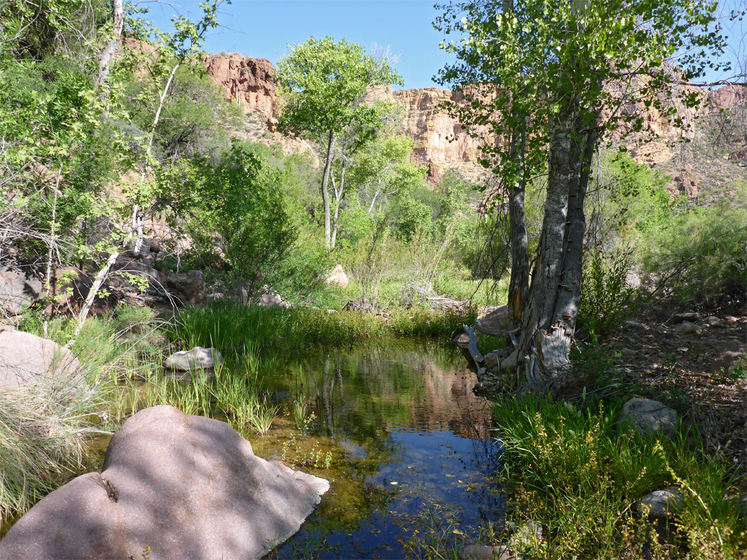 Pool and boulder