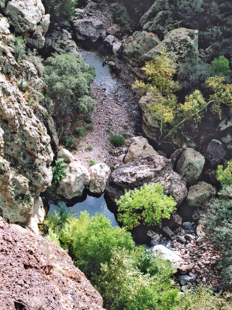 Pools, rocks and bushes