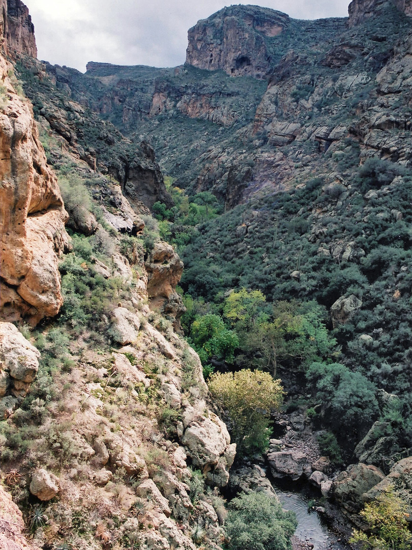 View up the canyon