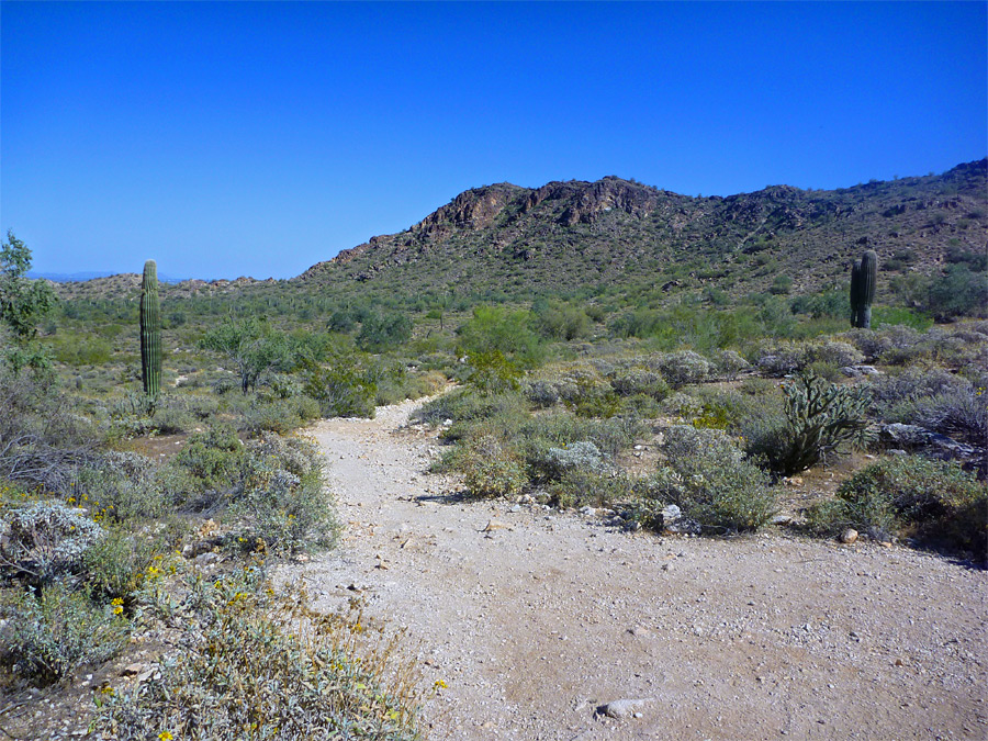 Path along Ford Canyon