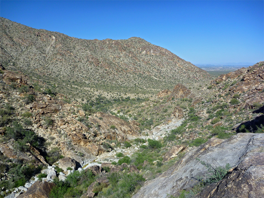 Above the streambed