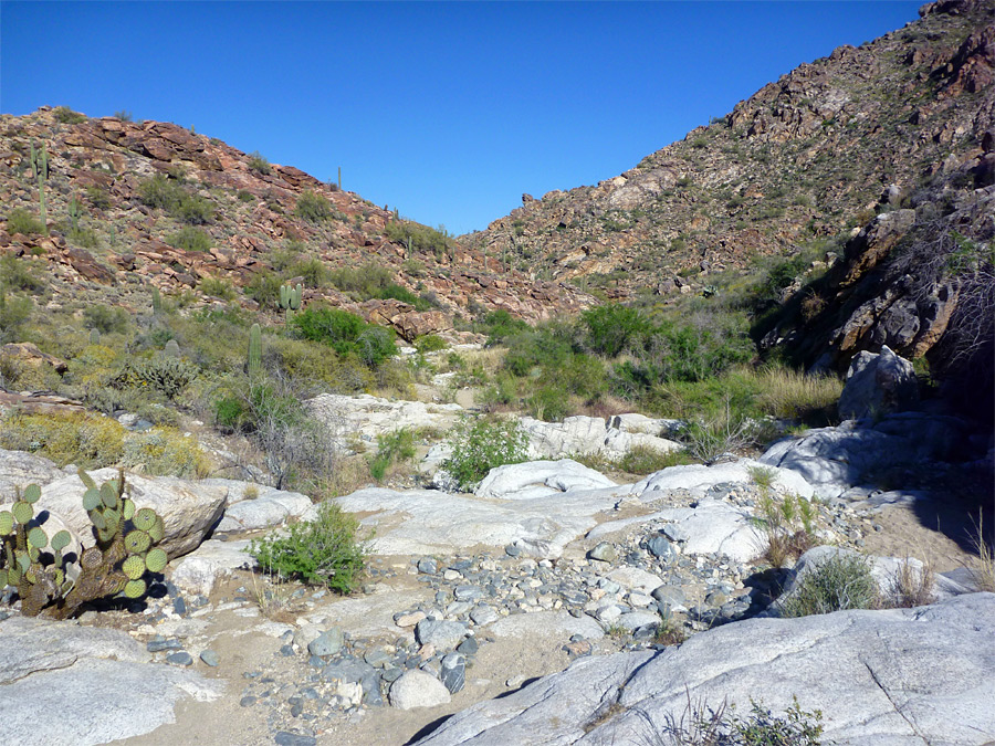 Upper end of Ford Canyon