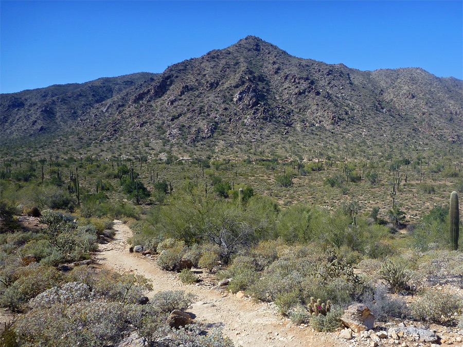 Ford Canyon Trail