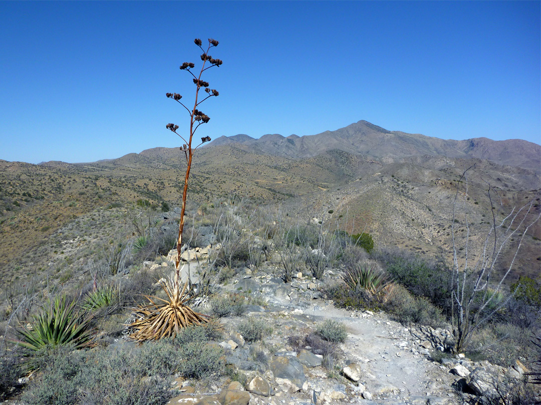 Ridge on the return trail