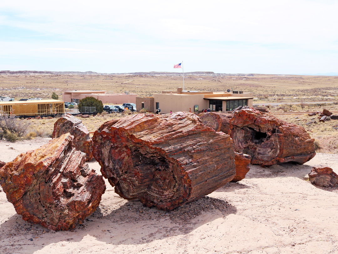 Logs near the visitor center