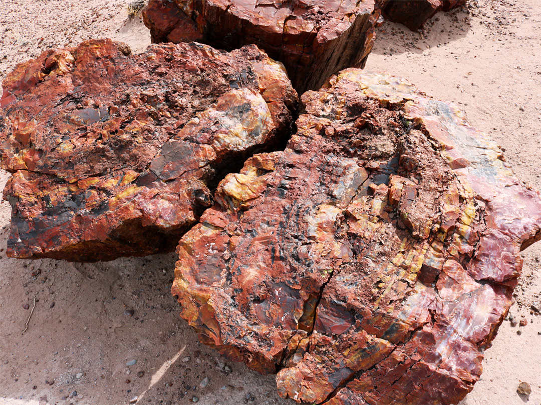 Yellowish-red logs