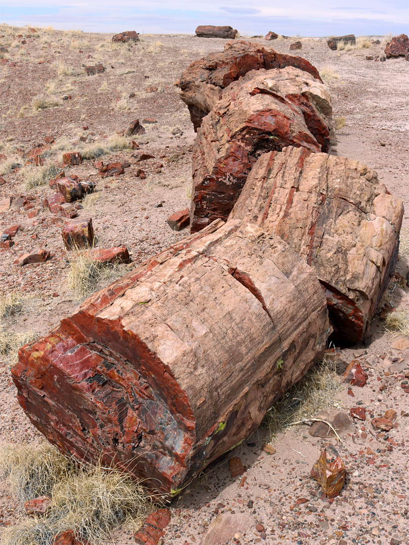 Smooth-sided logs