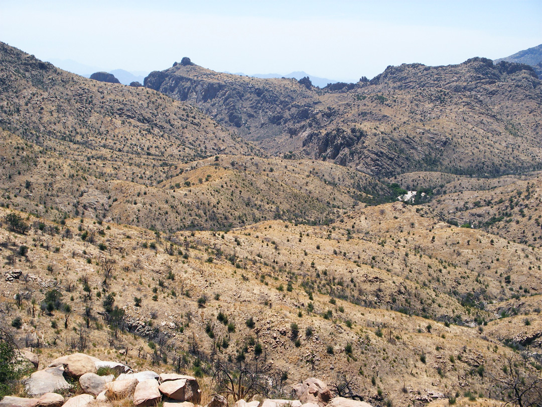 Hills below Gibbon Mountain