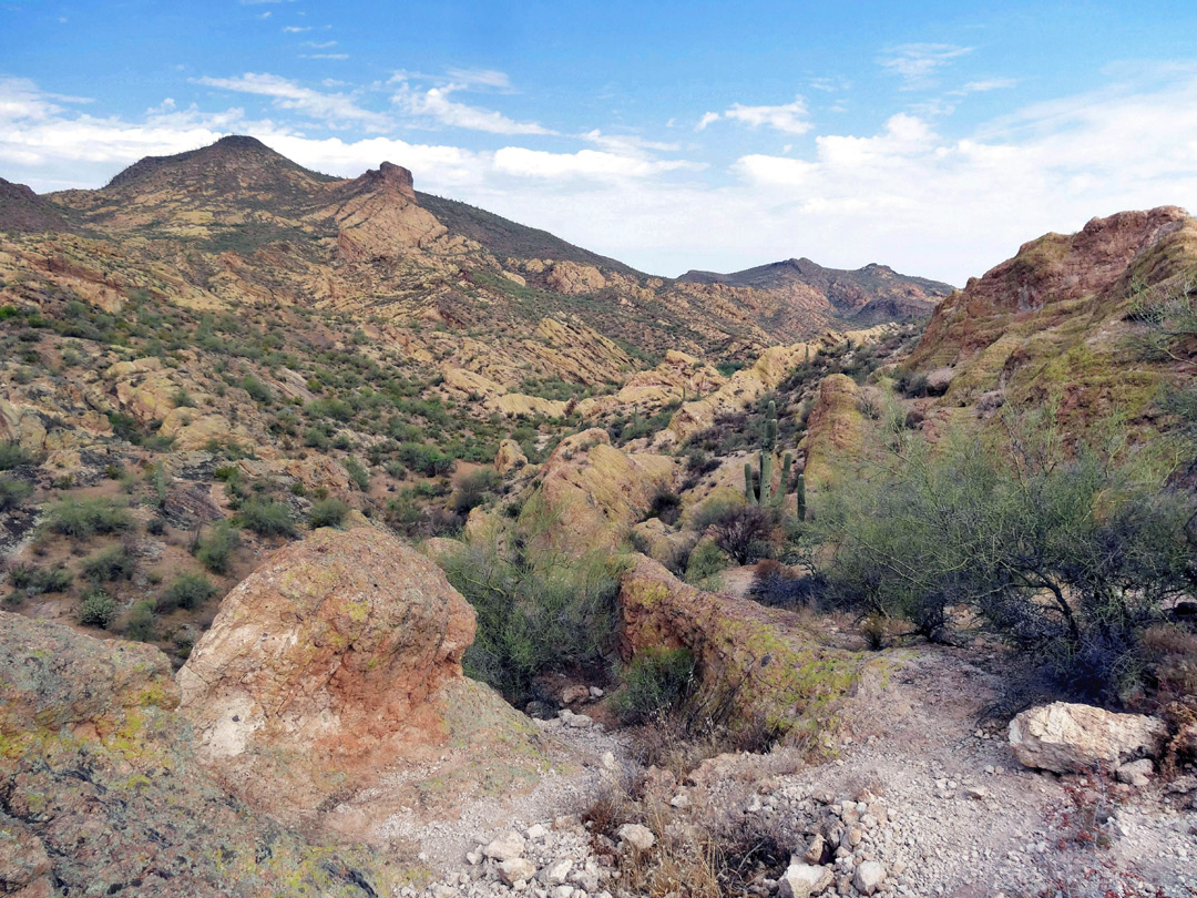 Goldfield Mountains