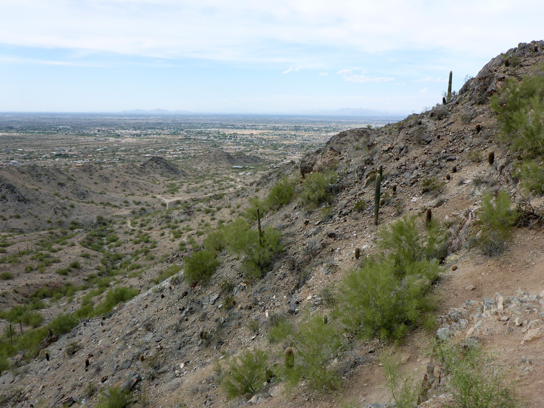 Steep hillside