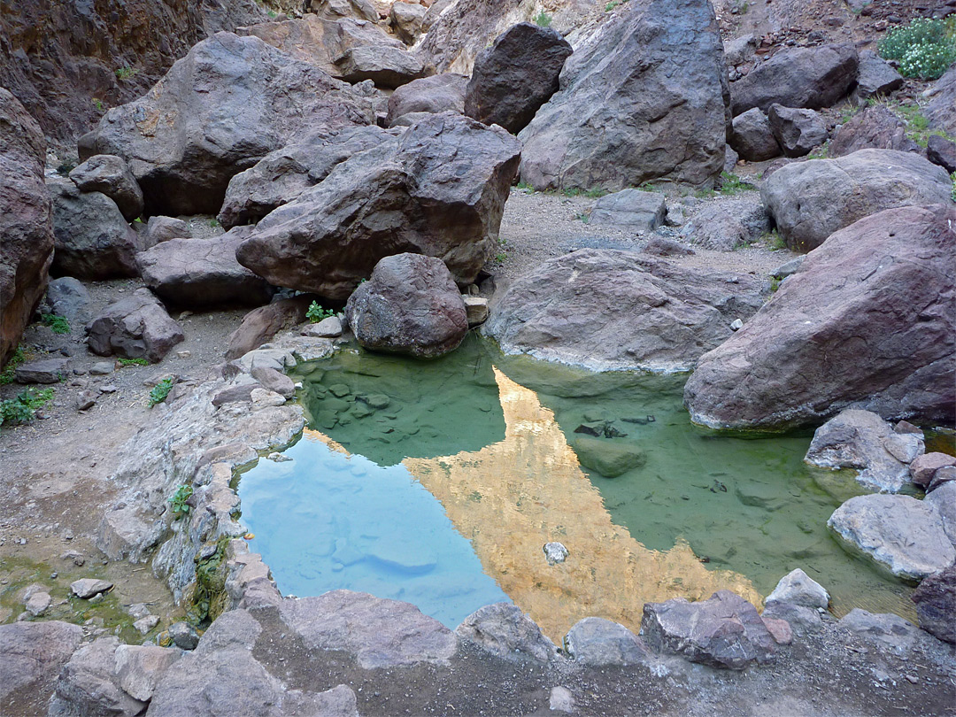 Reflections on a pool