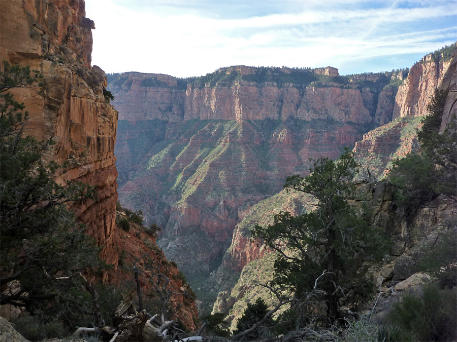 Coconino Saddle