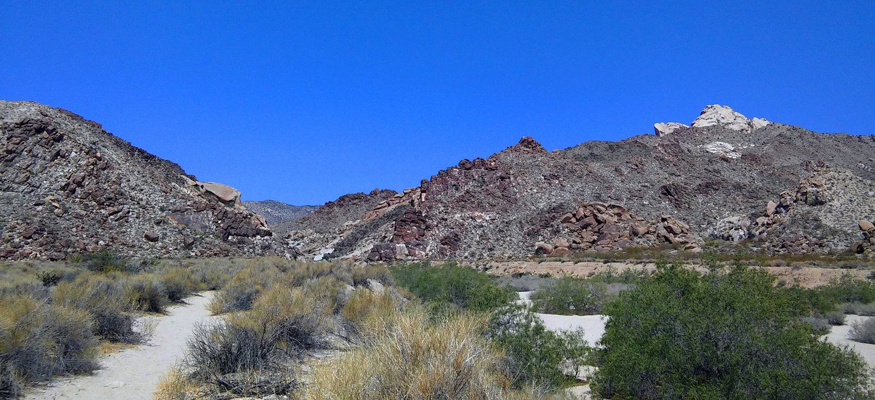 Desert at the mouth of the canyon