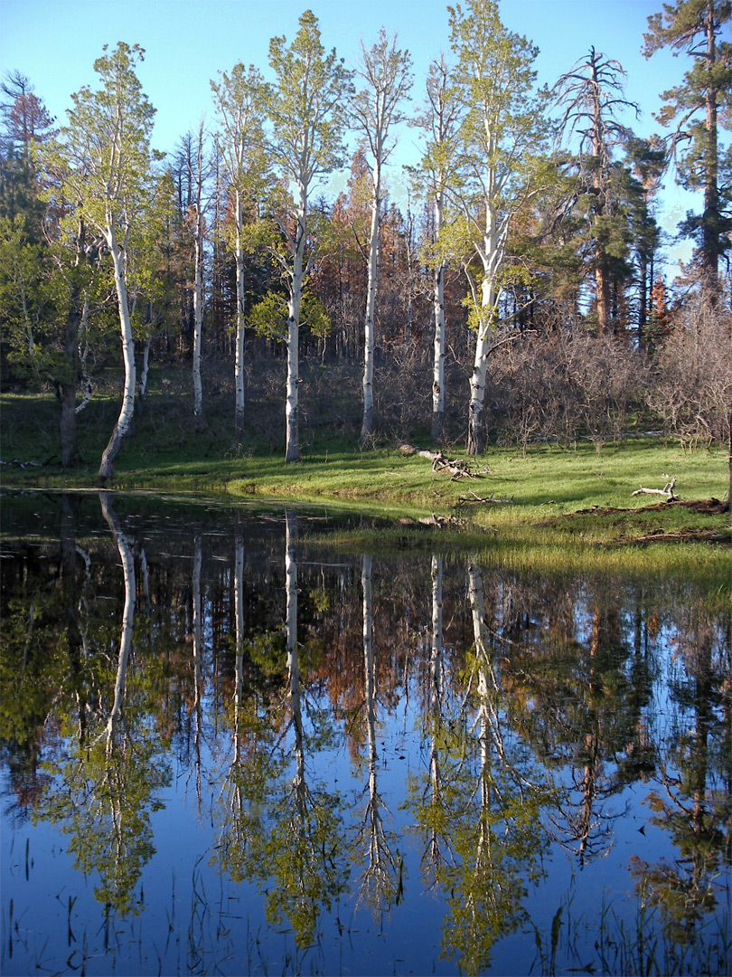 Greenland Lake