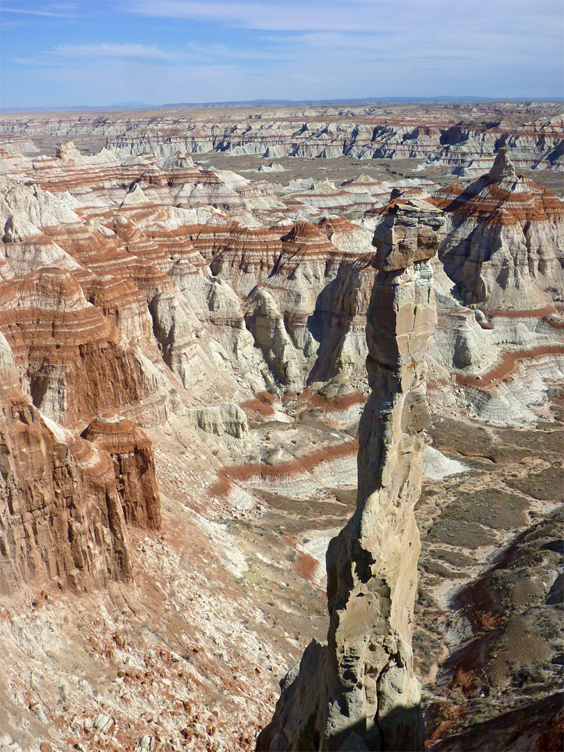 Slender hoodoo