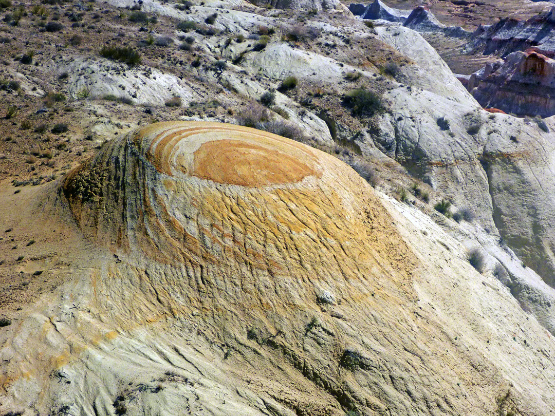 Yellow outcrop