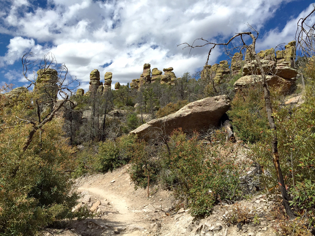 Hailstone Trail