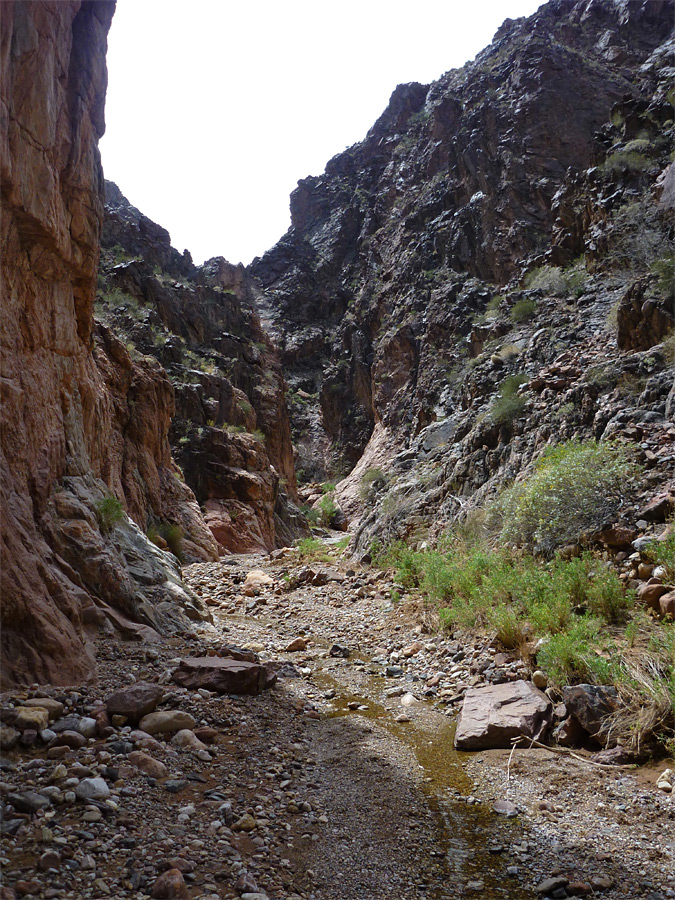 Rugged canyon walls