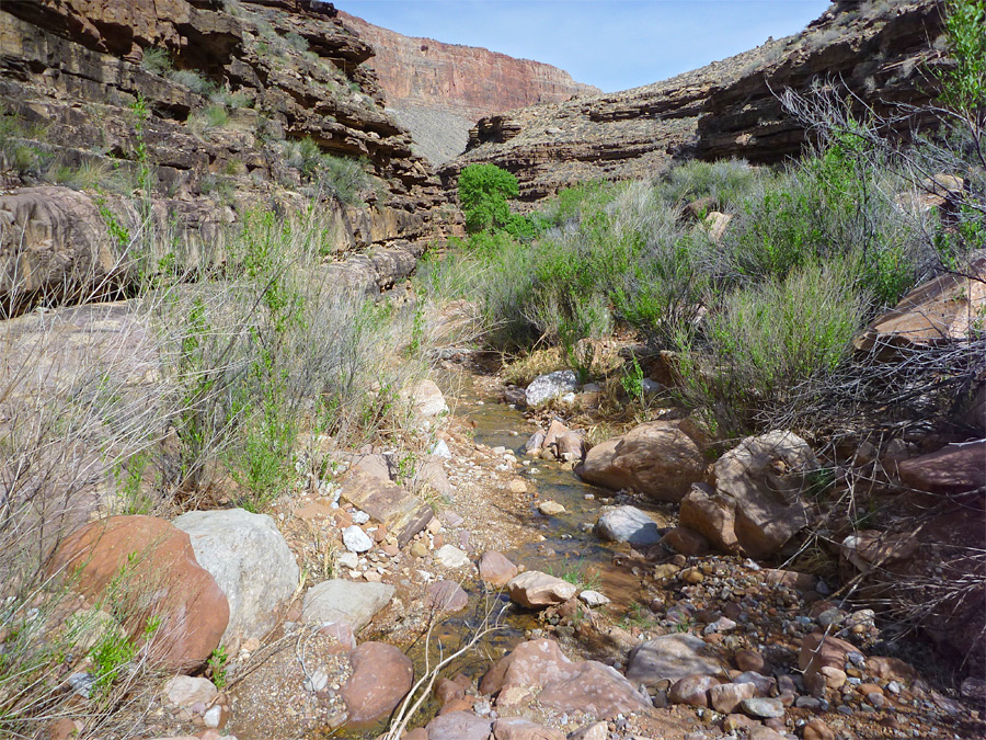 Shallow creek