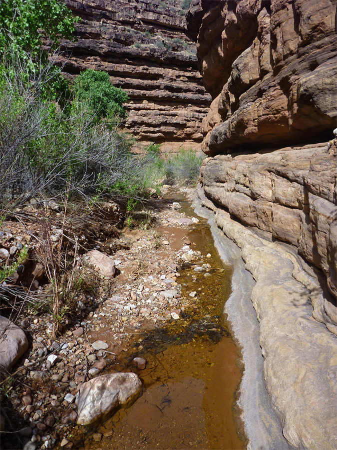 Tapeats narrows