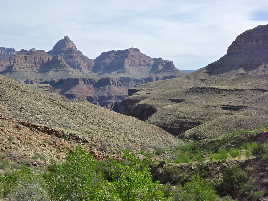 Slopes above Hance Creek