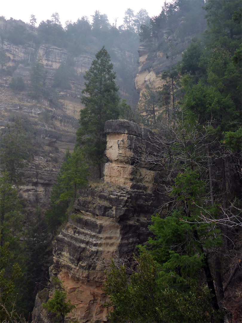 Misty rocks