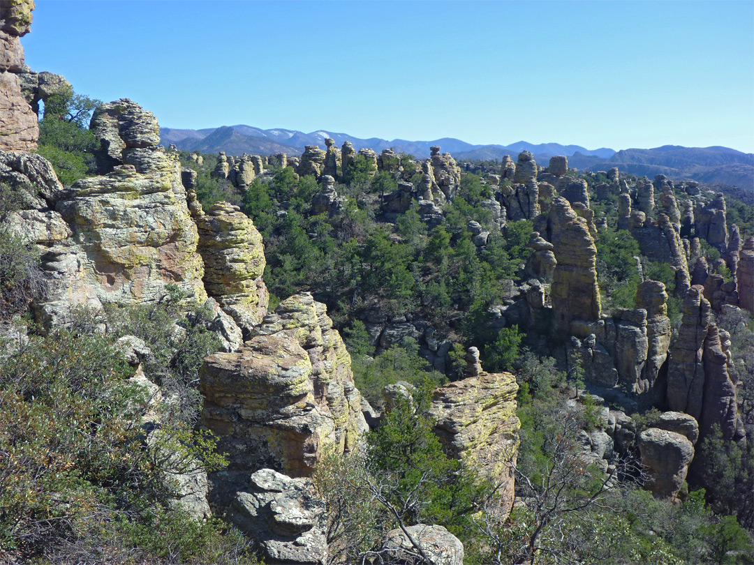 Pinnacles and trees