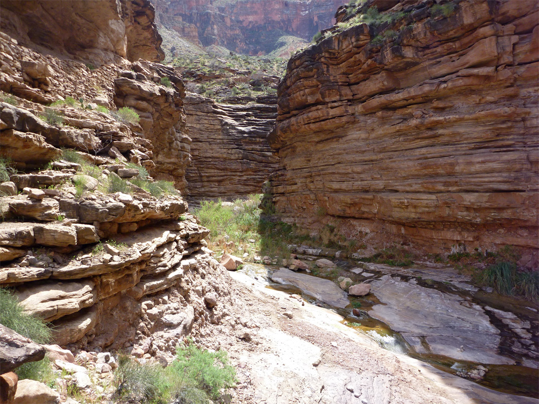 Tapeats sandstone