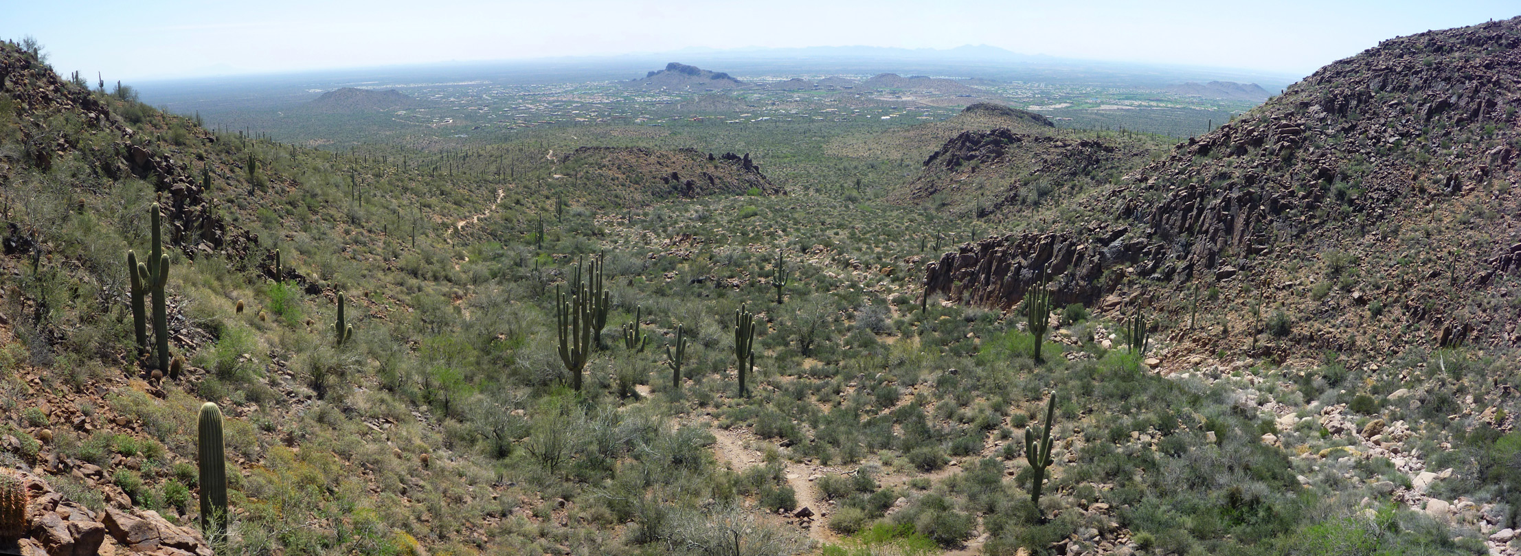 View down the canyon towards Gold Canyon