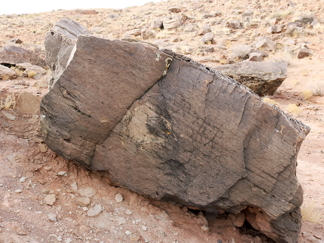 Boulder with rock art