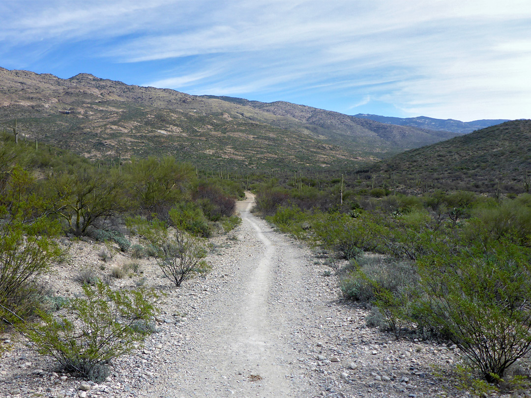 Wide trail