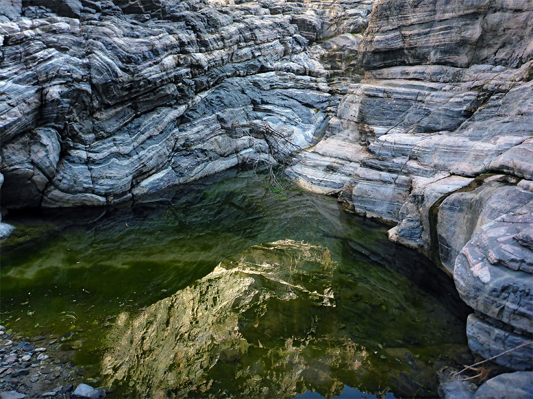 Reflections on a pool