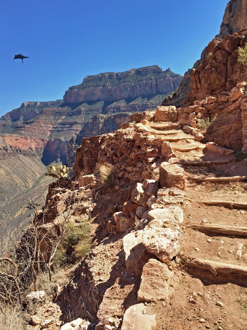 Steps on the trail