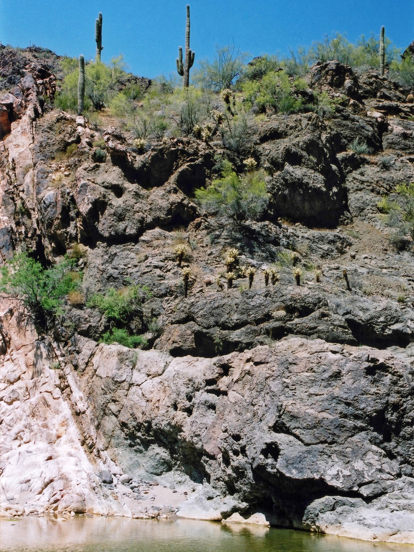 Cliffs with cacti
