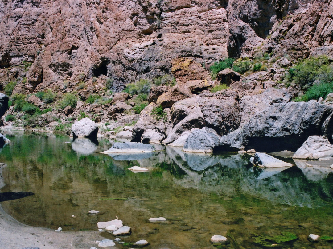 Tranquil pool