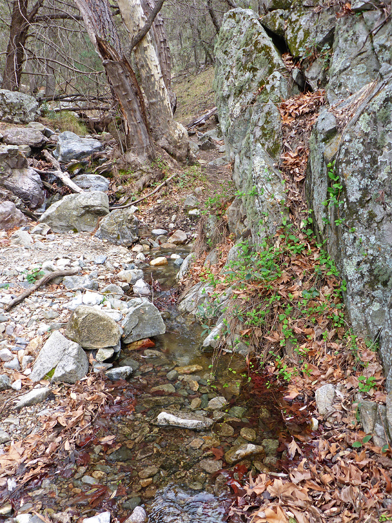 Pool below Kent Spring