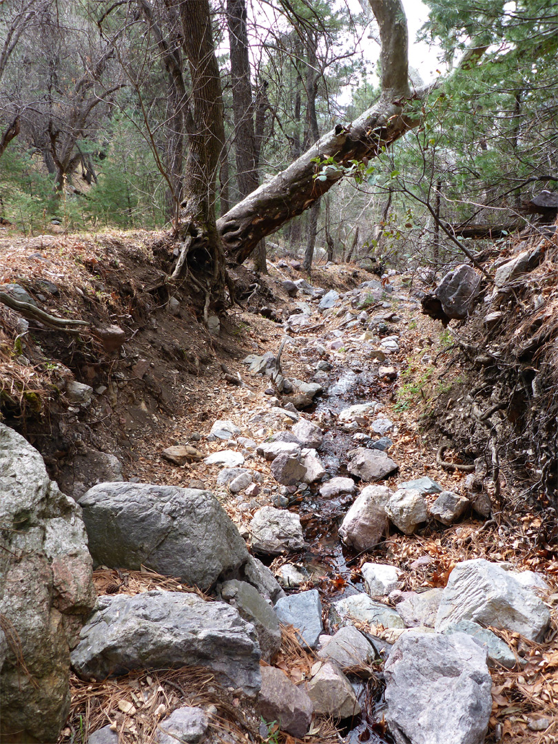 Rocky drainage