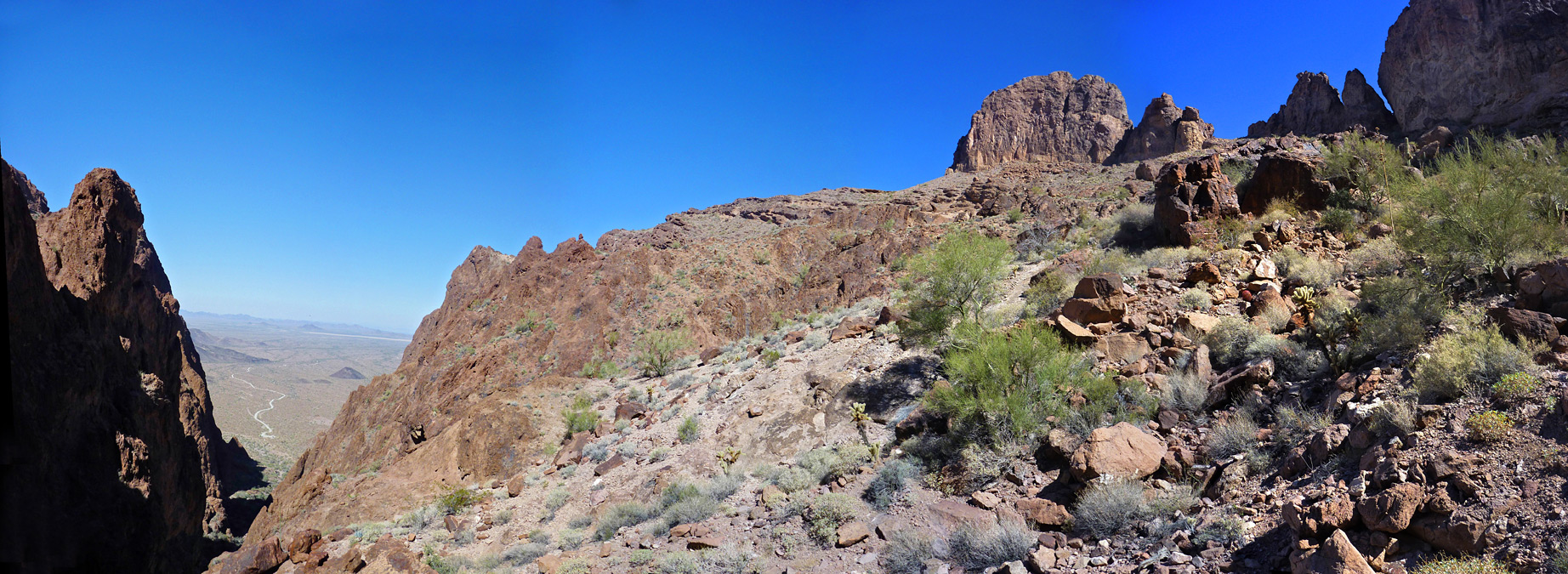 Bench above Palm Canyon