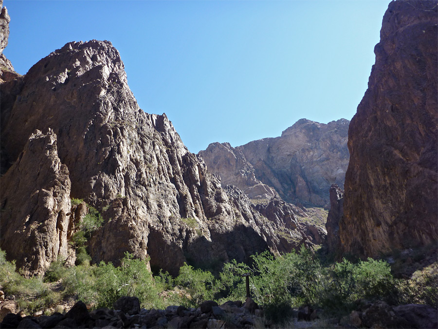 Middle of Palm Canyon