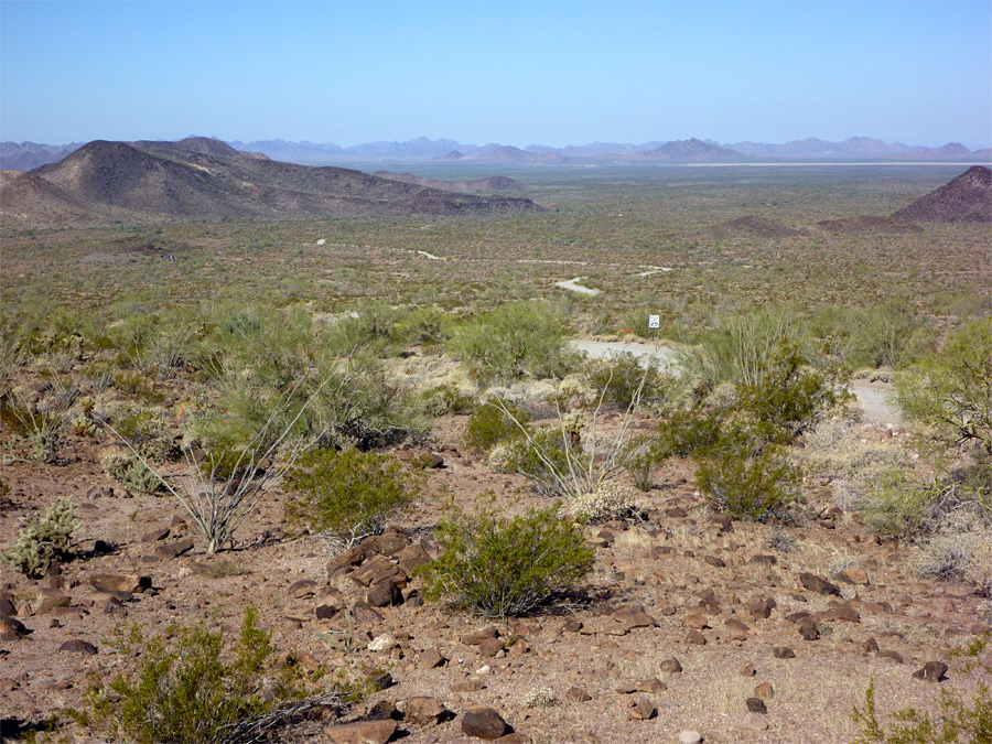 Palm Canyon Road