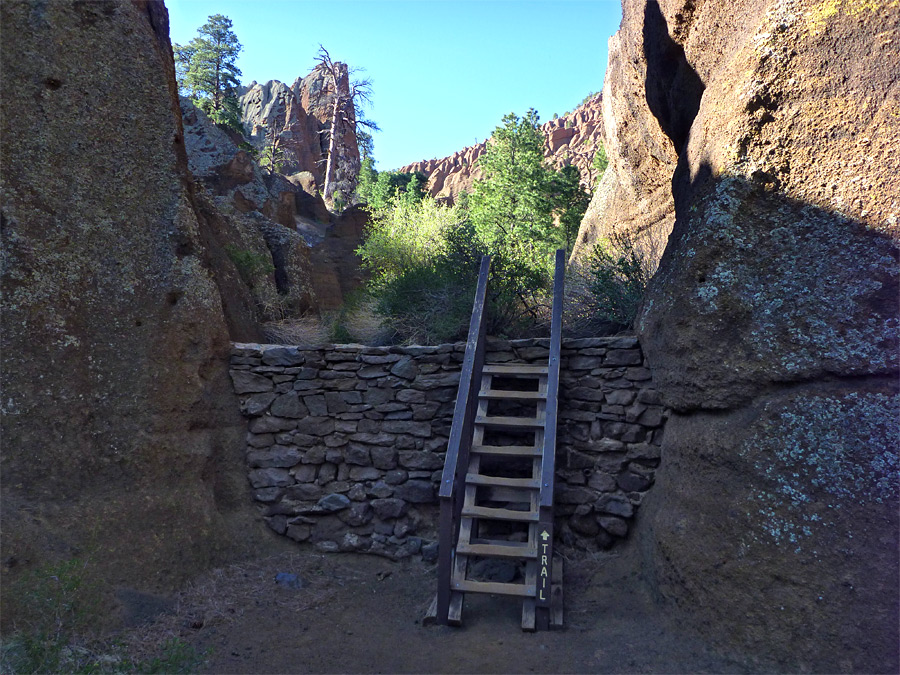 Ladder and check dam