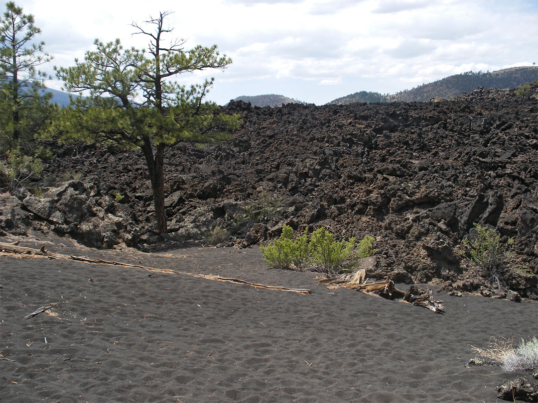 Edge of the Bonito Lava Flow