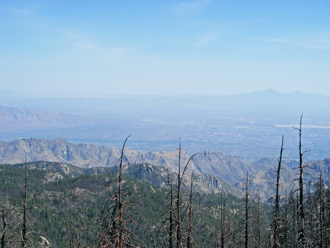 Tuscon, from the summit