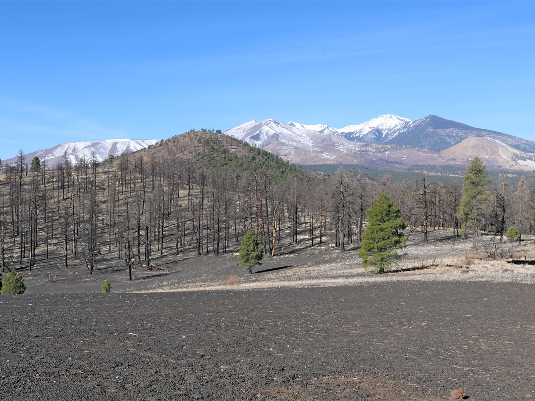 The view west