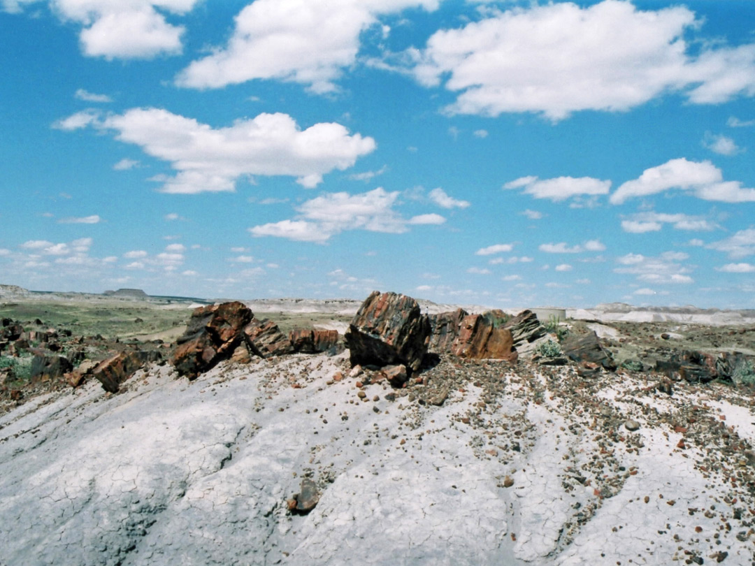 Logs on a hill