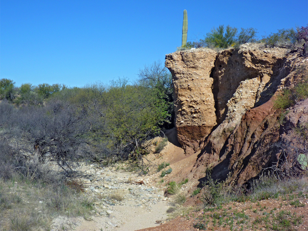 Wash along the Loma Verde Trail