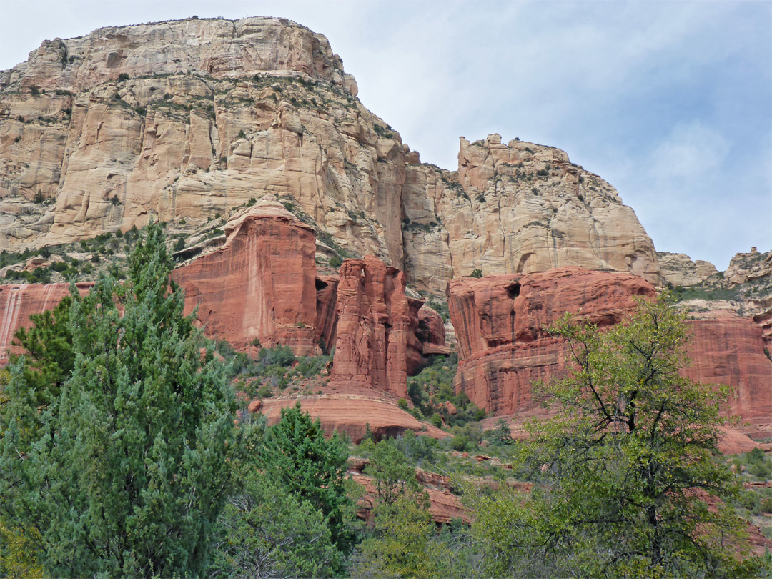 Red and brown sandstone