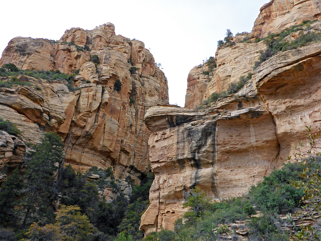 Vertical cliffs