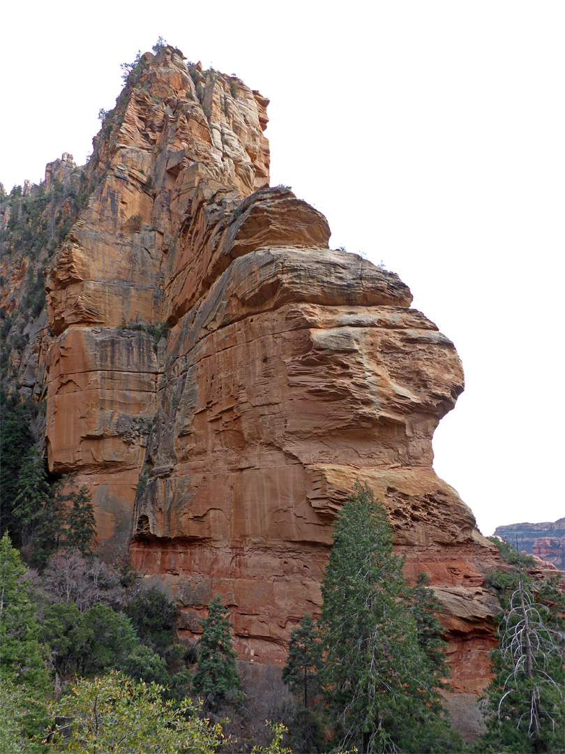 Sandstone fin