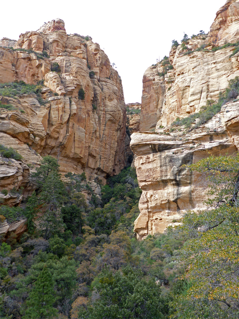 Upper end of the canyon